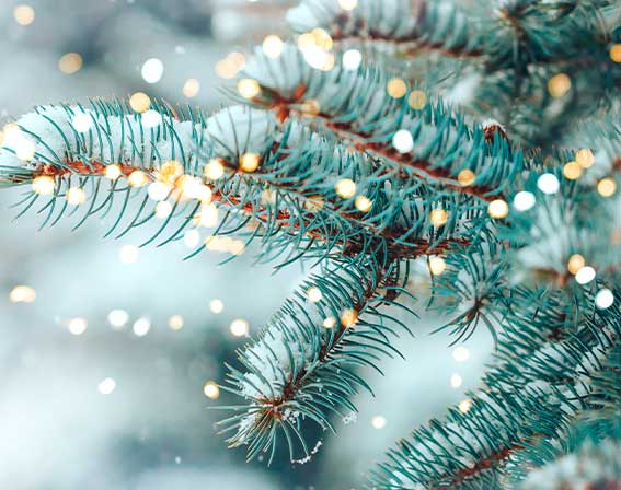 Geschenksets Weihnachten