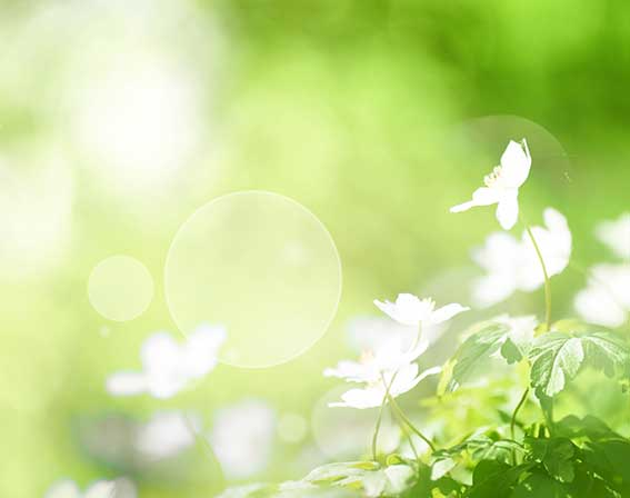 Nr.2 Calcium phosphoricum