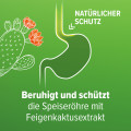 REFLUTHIN bei Sodbrennen Kautabletten Frucht