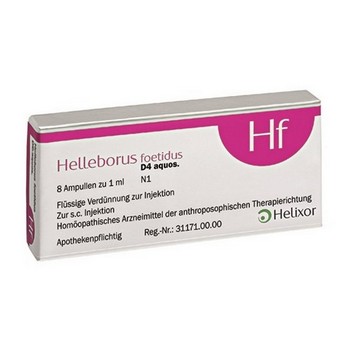 HELLEBORUS FOETIDUS aquos. D 4 Ampullen
