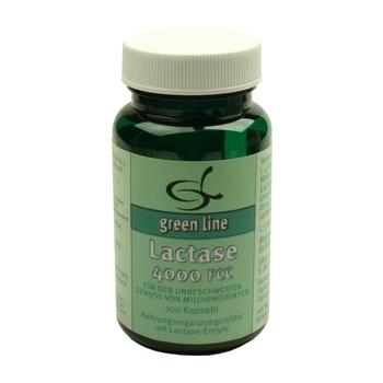 LACTASE 4.000 FCC Kapseln