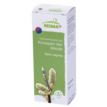 GEMMOMAZERAT Salix caprea Spray