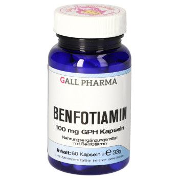 BENFOTIAMIN 100 mg GPH Kapseln vet.